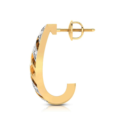 Spiral Cage Hoop Earrings